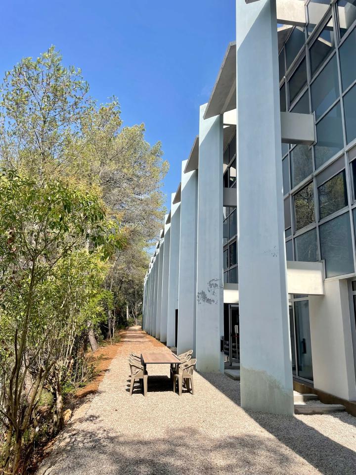 Bureau Sophia Antipolis 1243m² Location bureau Sophia Antipolis Alpes-Maritimes OLBUR2310205 6